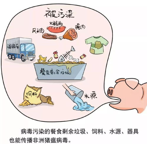 致全市餐飲服務單位防控非洲豬瘟的一封信